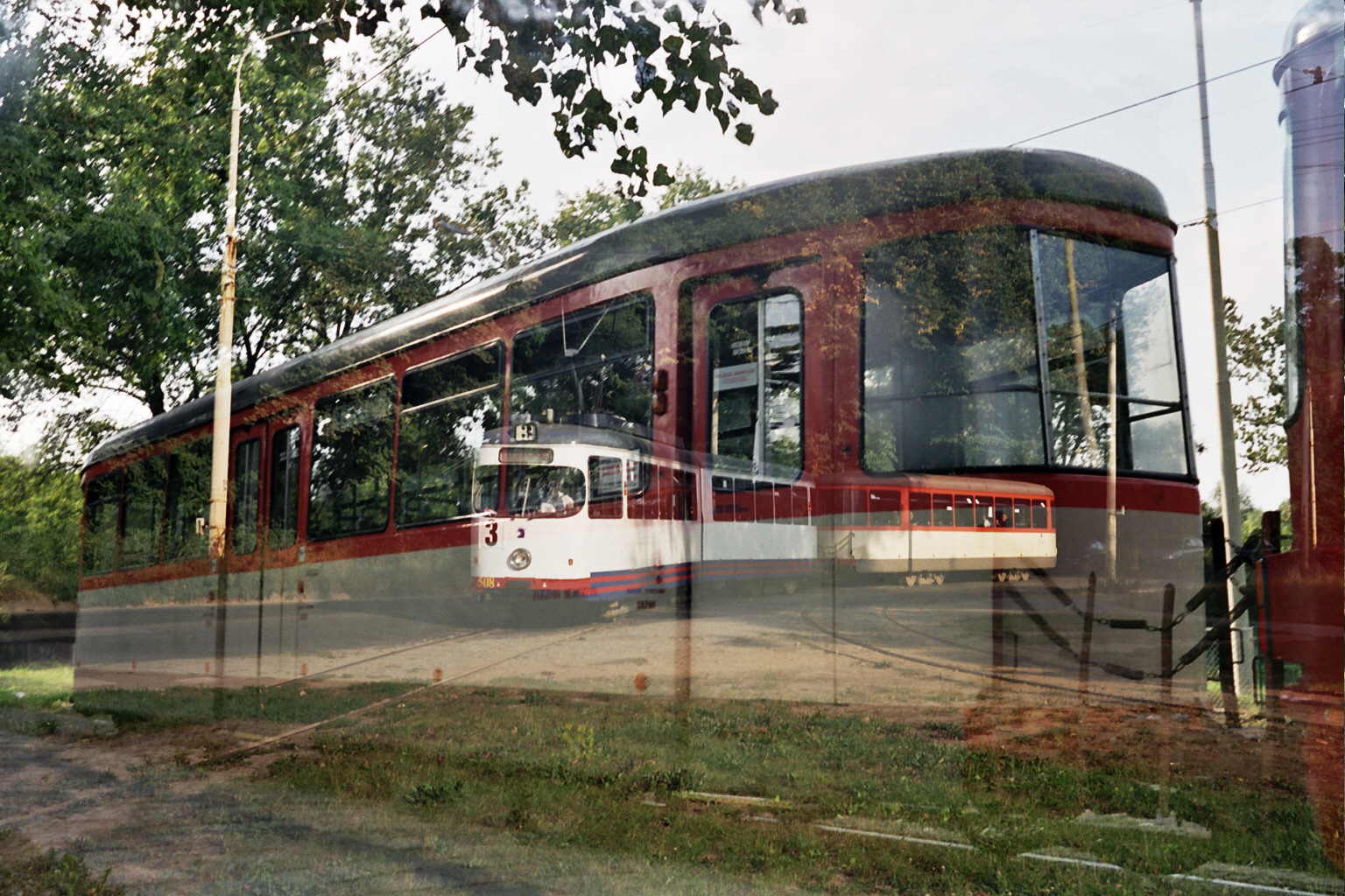 Ptla w Lesie Arkoskim - foto wykonane przez Magd Murawsk i dziki jej uprzejmoci mog j zaprezentowa